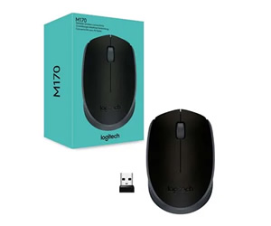 Mouse Logitech M170